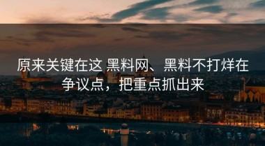 原来关键在这 黑料网、黑料不打烊在争议点，把重点抓出来